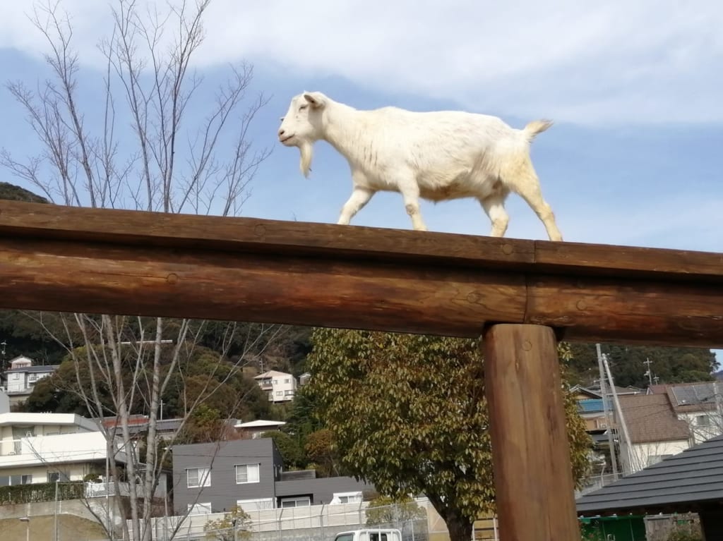 周南市徳山動物園　企画展