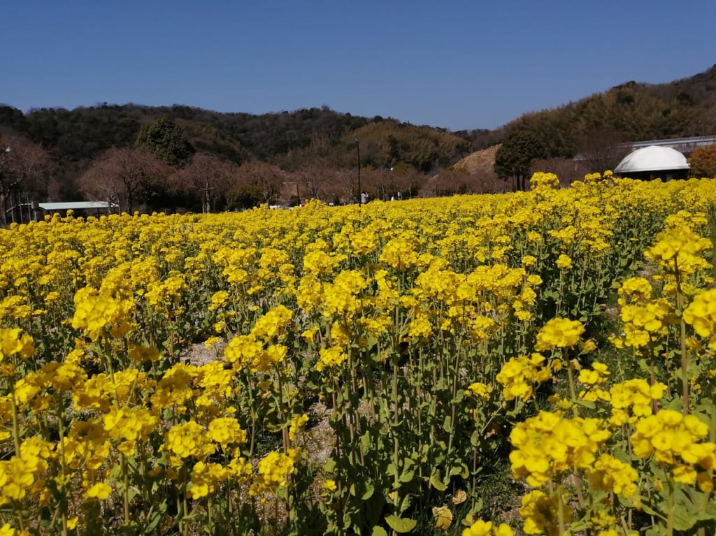 下松スポーツ公園