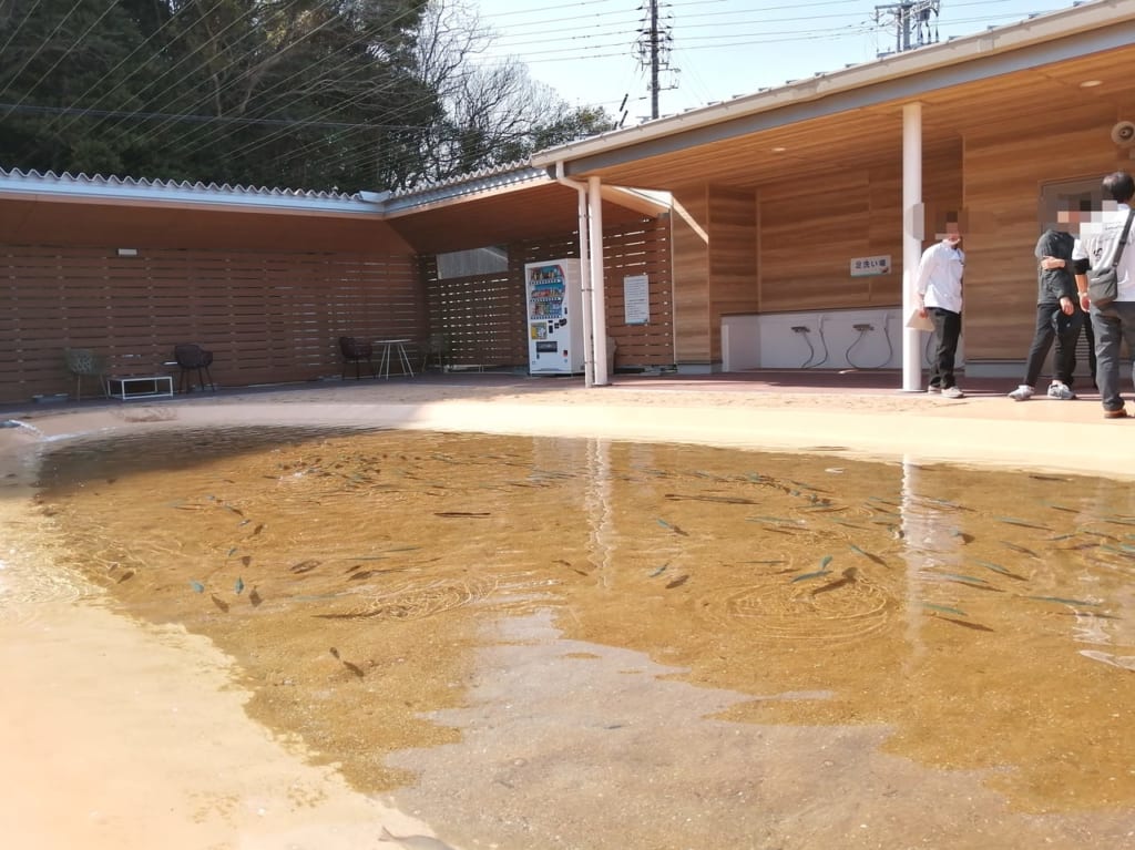 下松栽培漁業センター