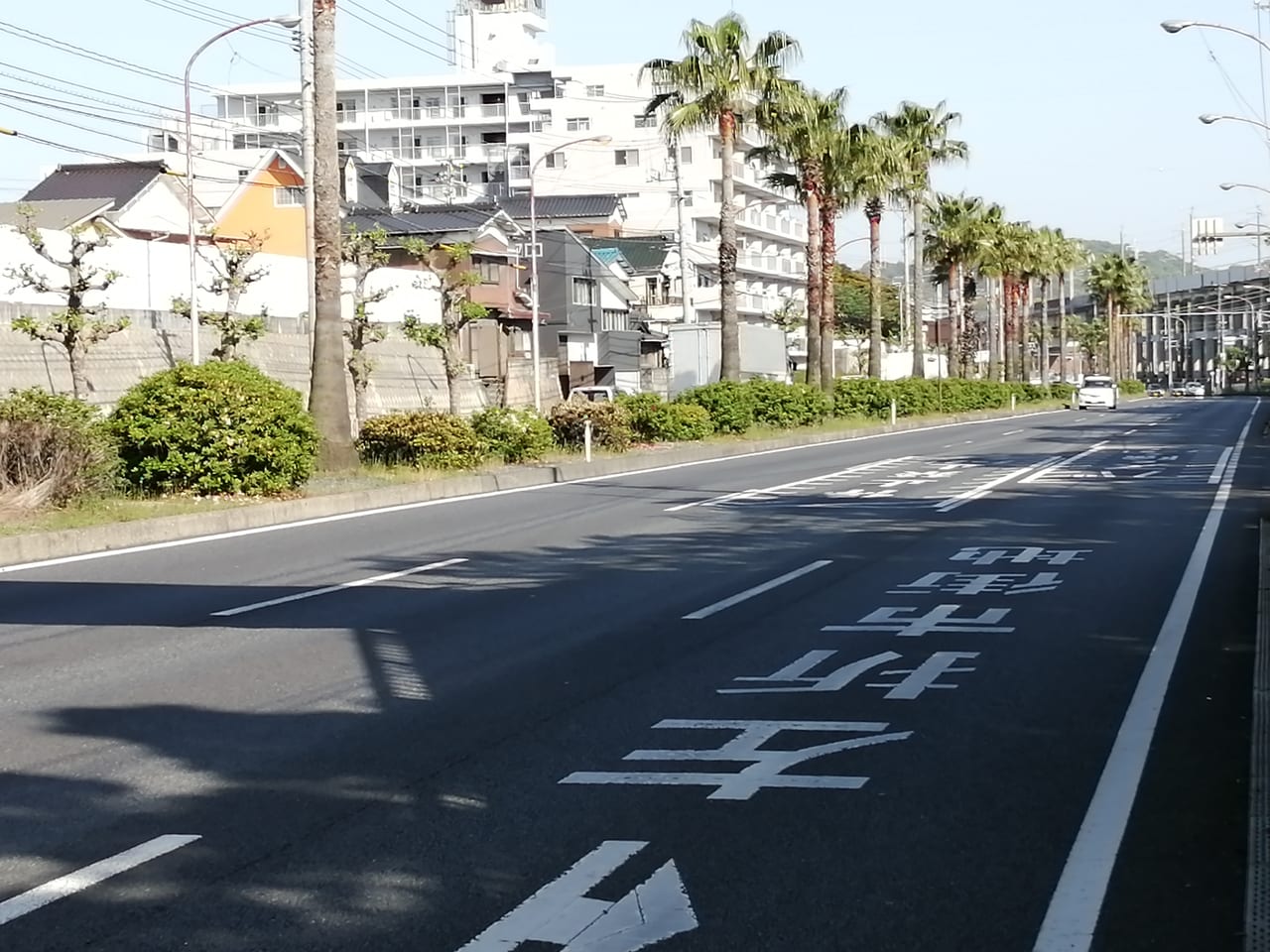 周南市 旧2号線の見慣れた風景とお別れの時 ヤシの木伐採へ 号外net 周南市 下松市 光市