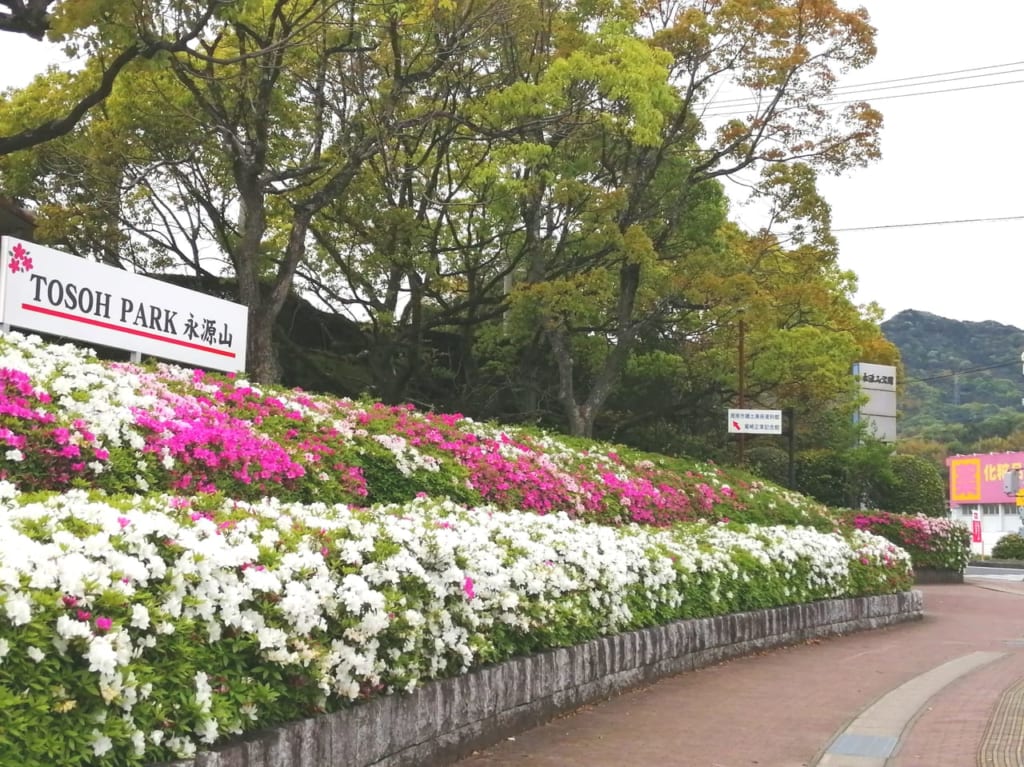 永源山公園