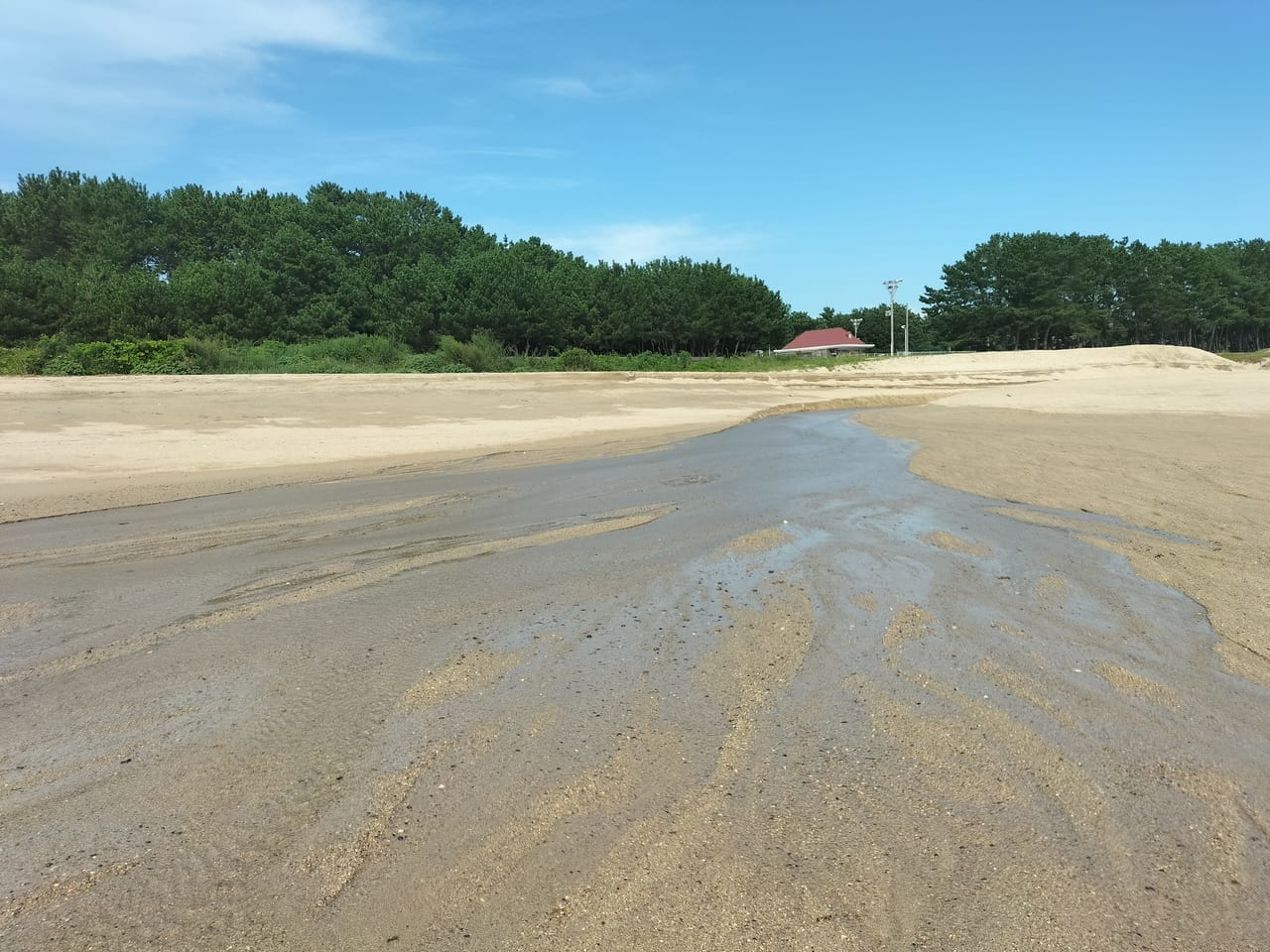 虹が丘