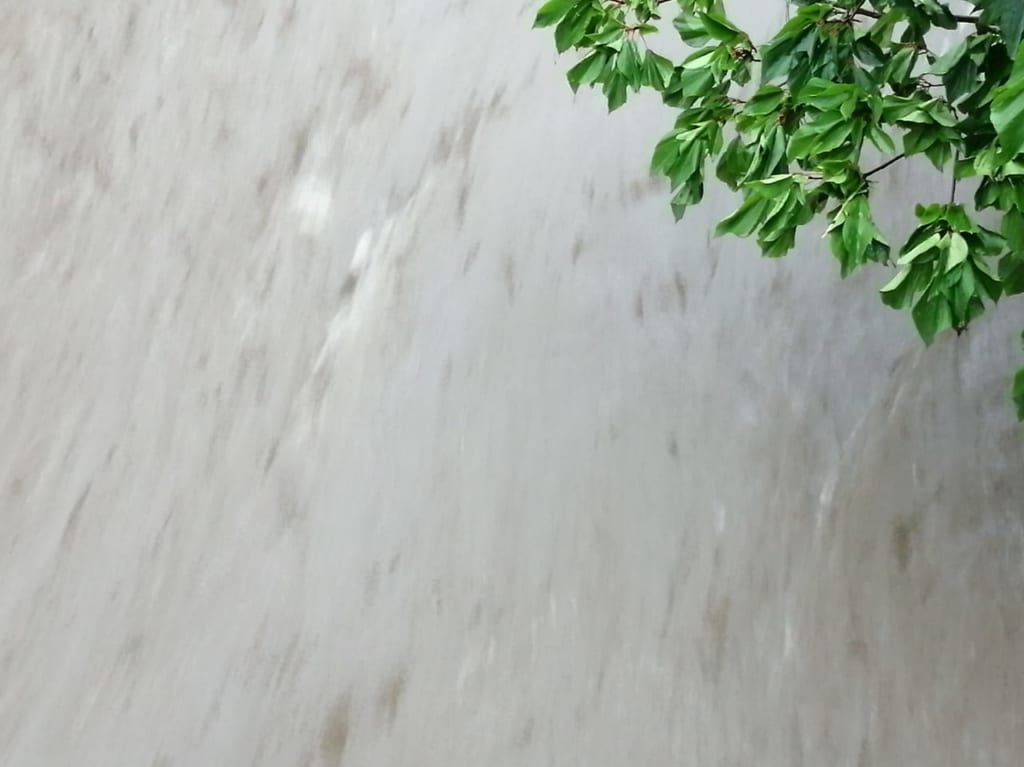 雨