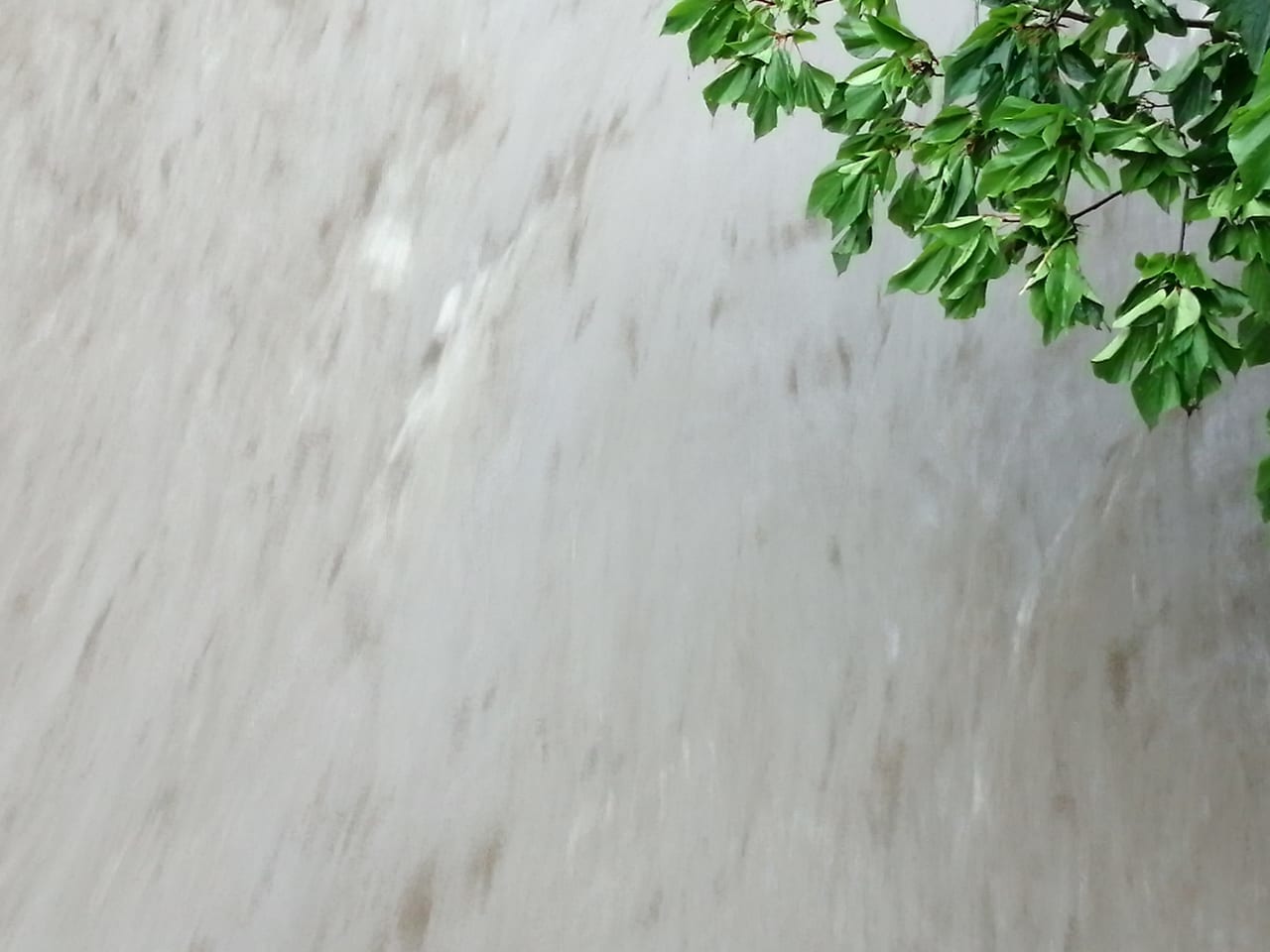 雨