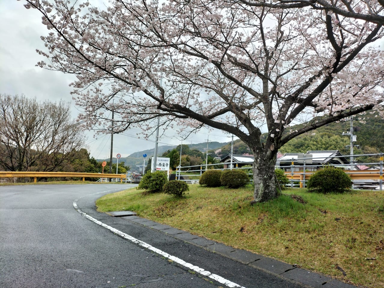 西楽寺