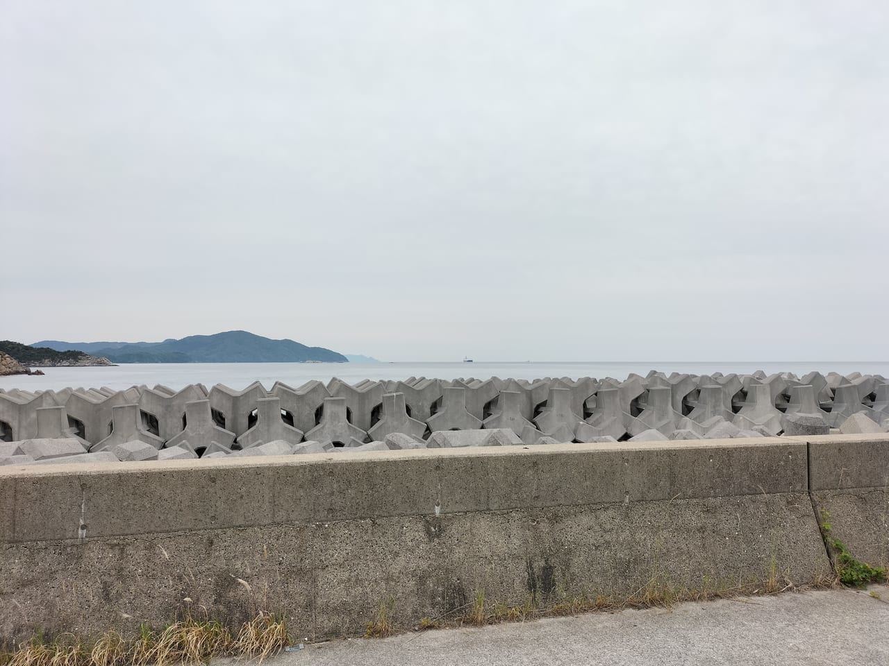 大島干潟