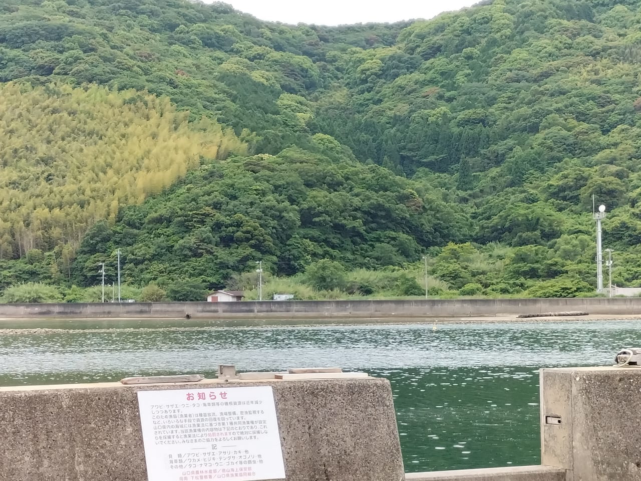 大島干潟