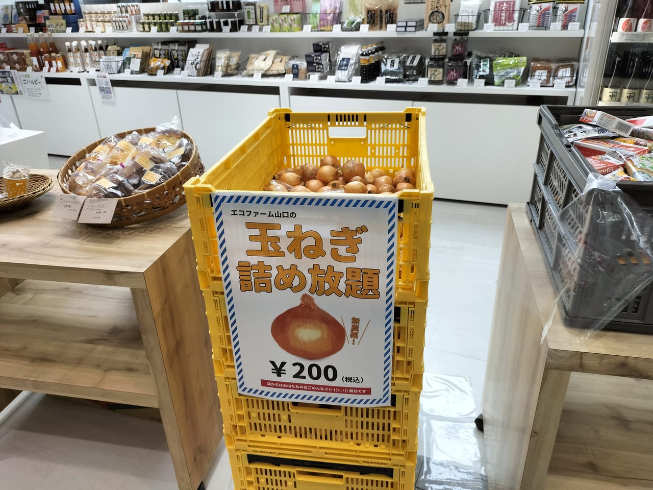 【周南市】9月5日「まちのポート」が「TOKUYAMA DECK D1」に移転OPEN! 9月11日までイベント開催中! | 号外NET 周南 ...