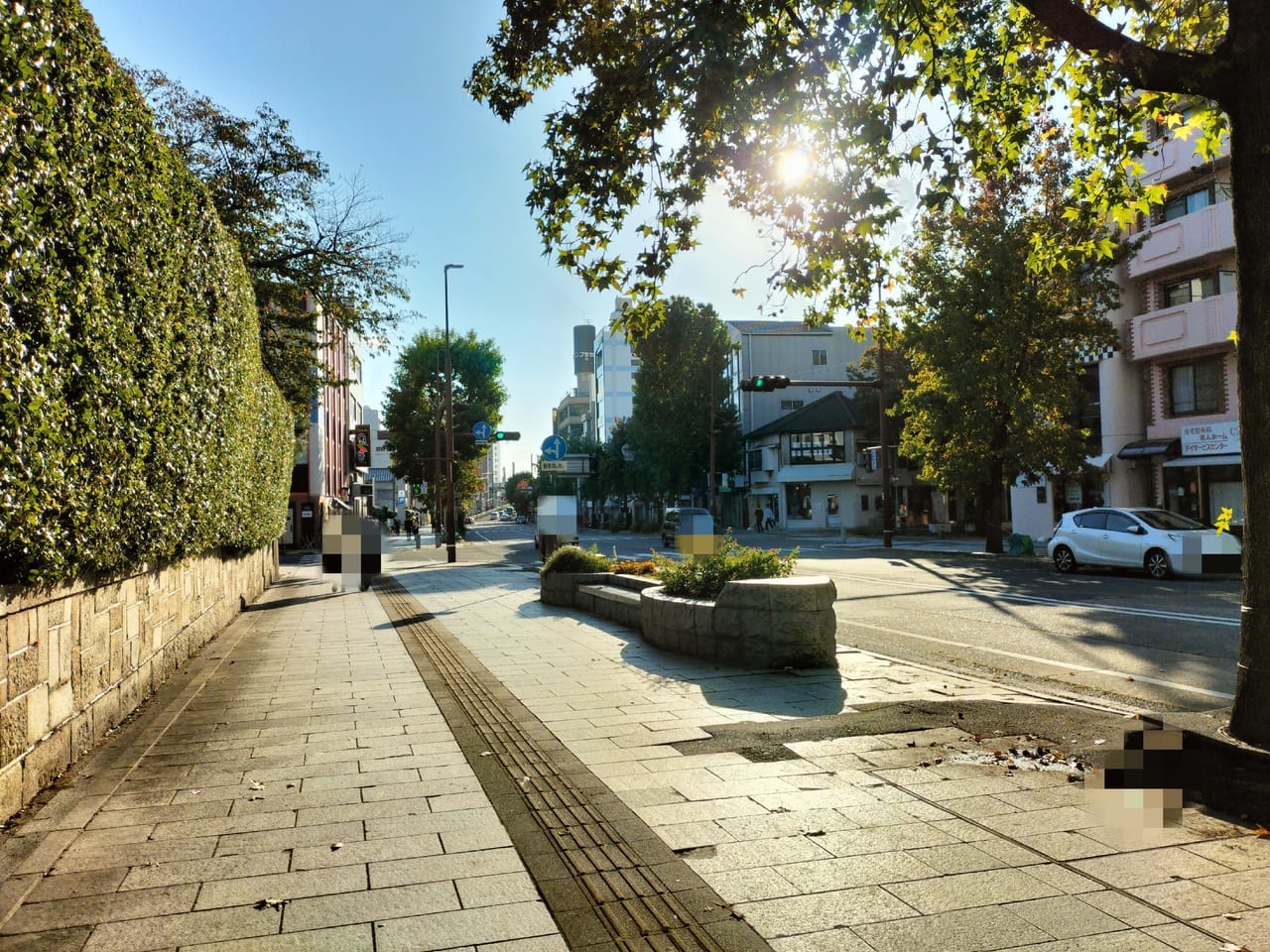 coropiz