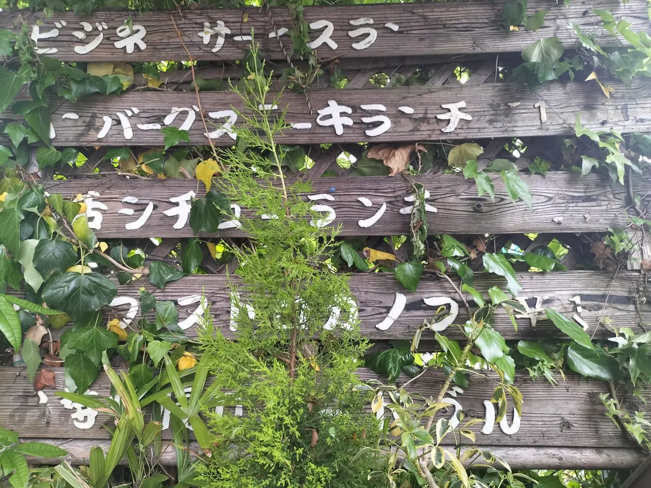 オックスフォード