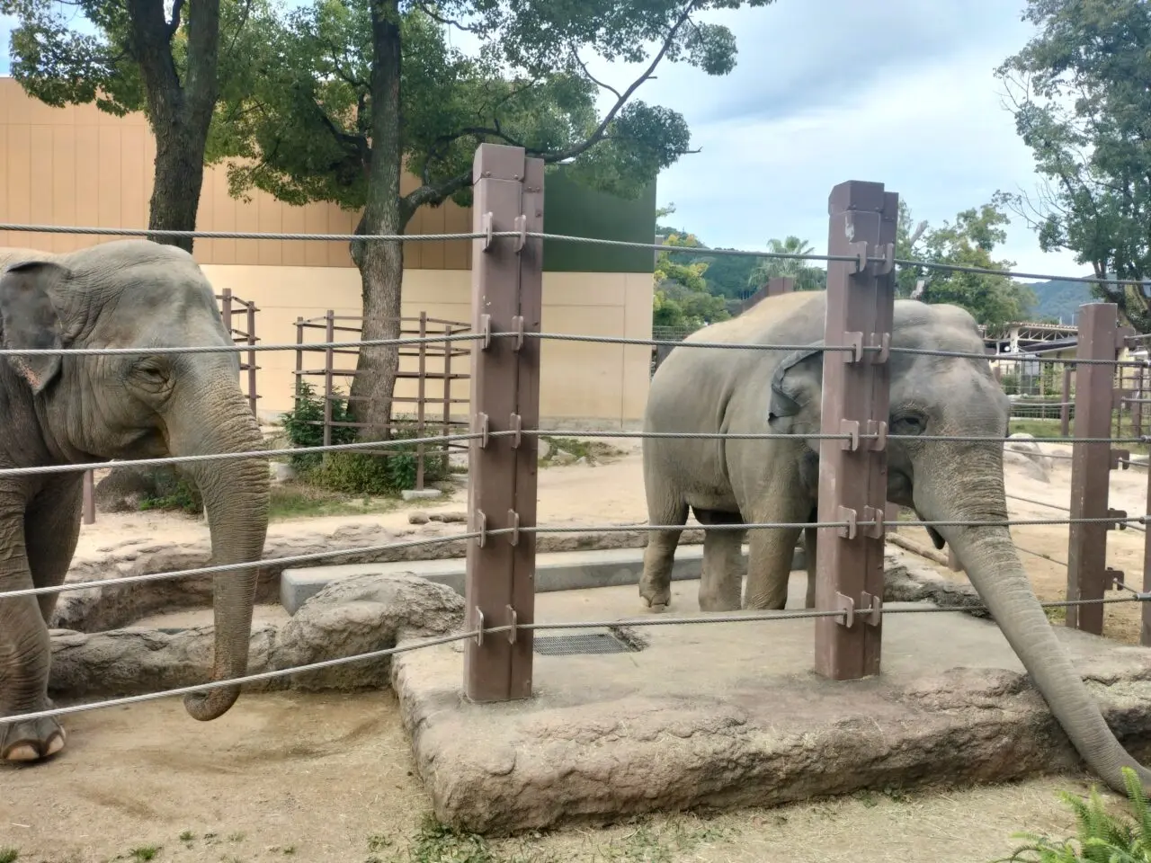 徳山動物園