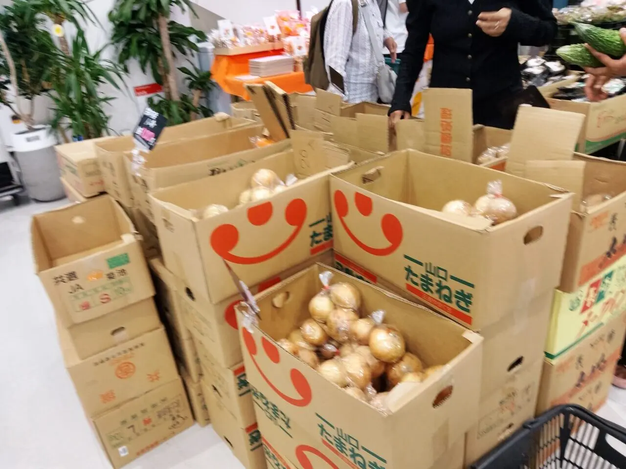 井筒屋