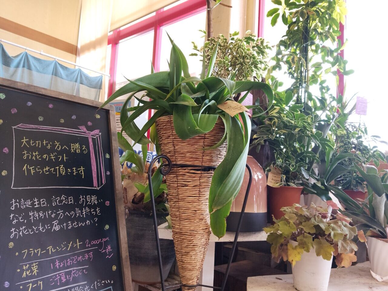 保のか