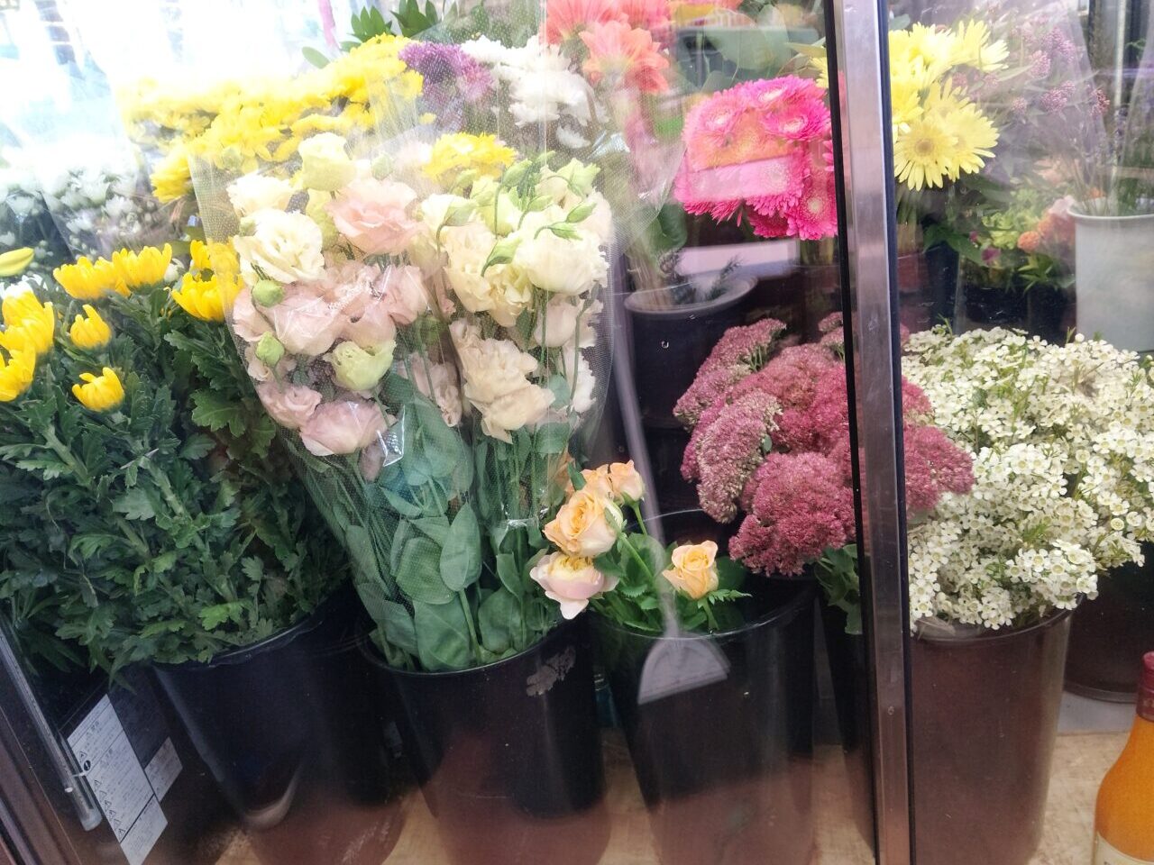 保のか