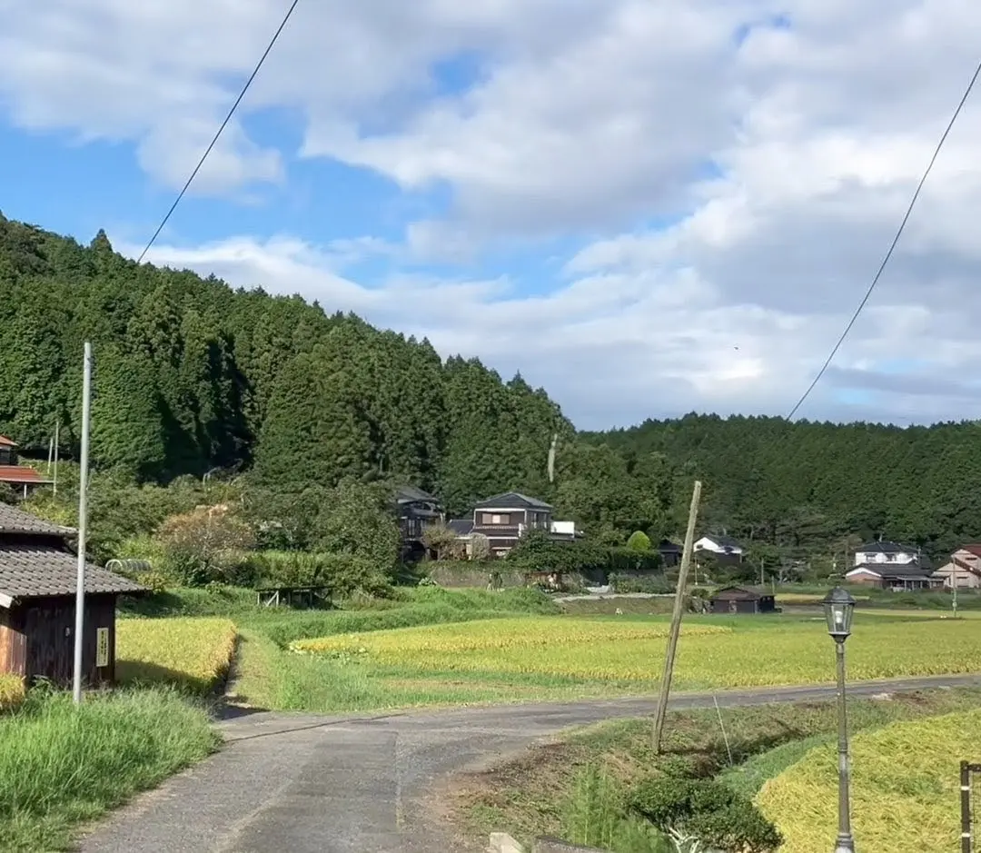 たい焼き高瀬屋