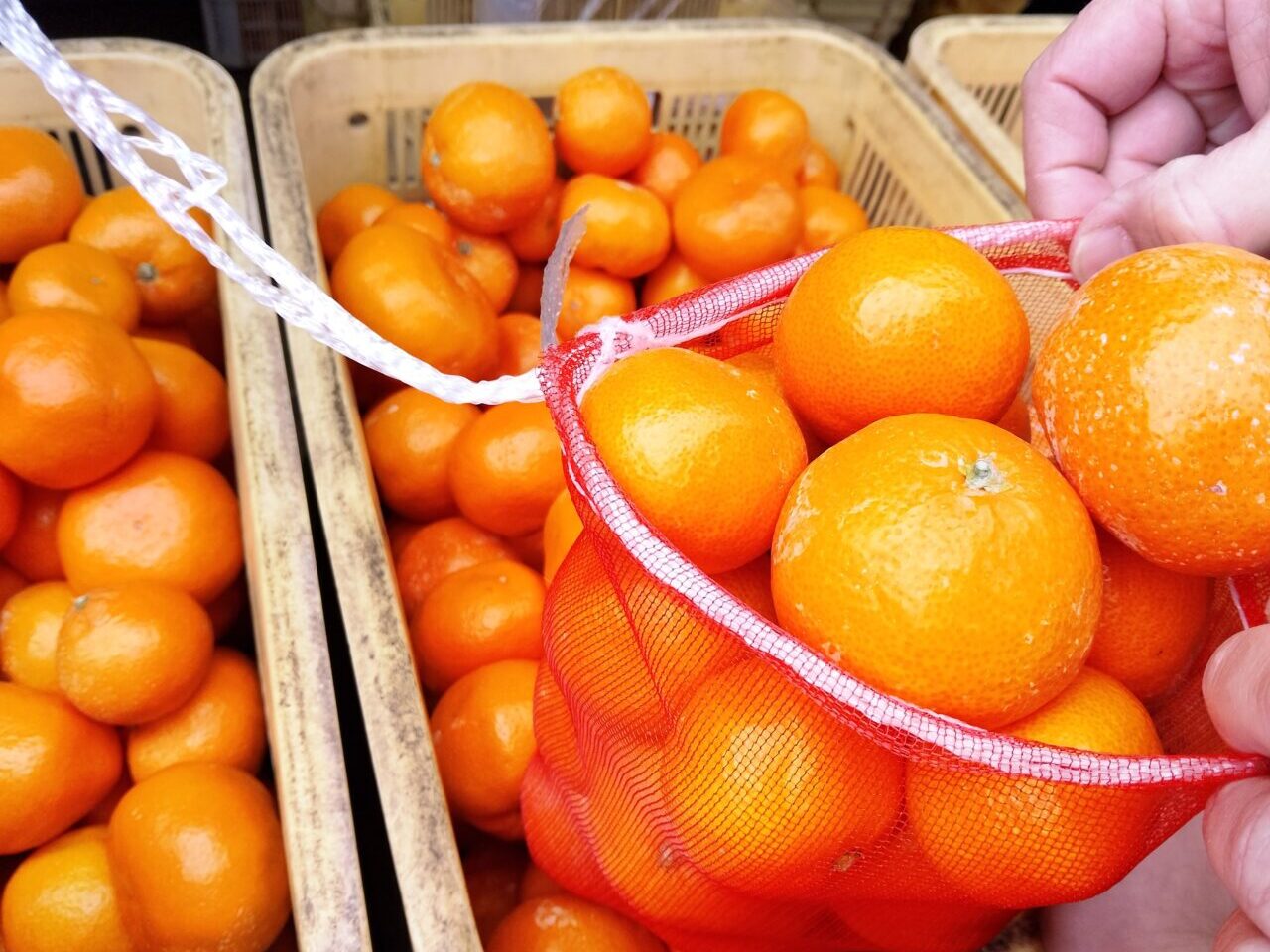 菜さい来んさい下松