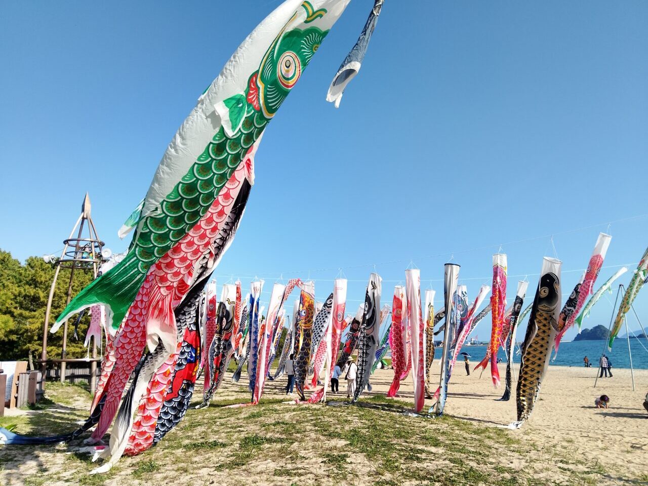 虹の鯉のぼりプロジェクト