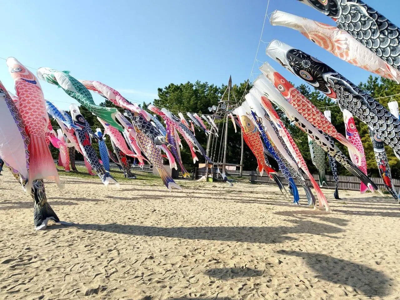 虹の鯉のぼりプロジェクト