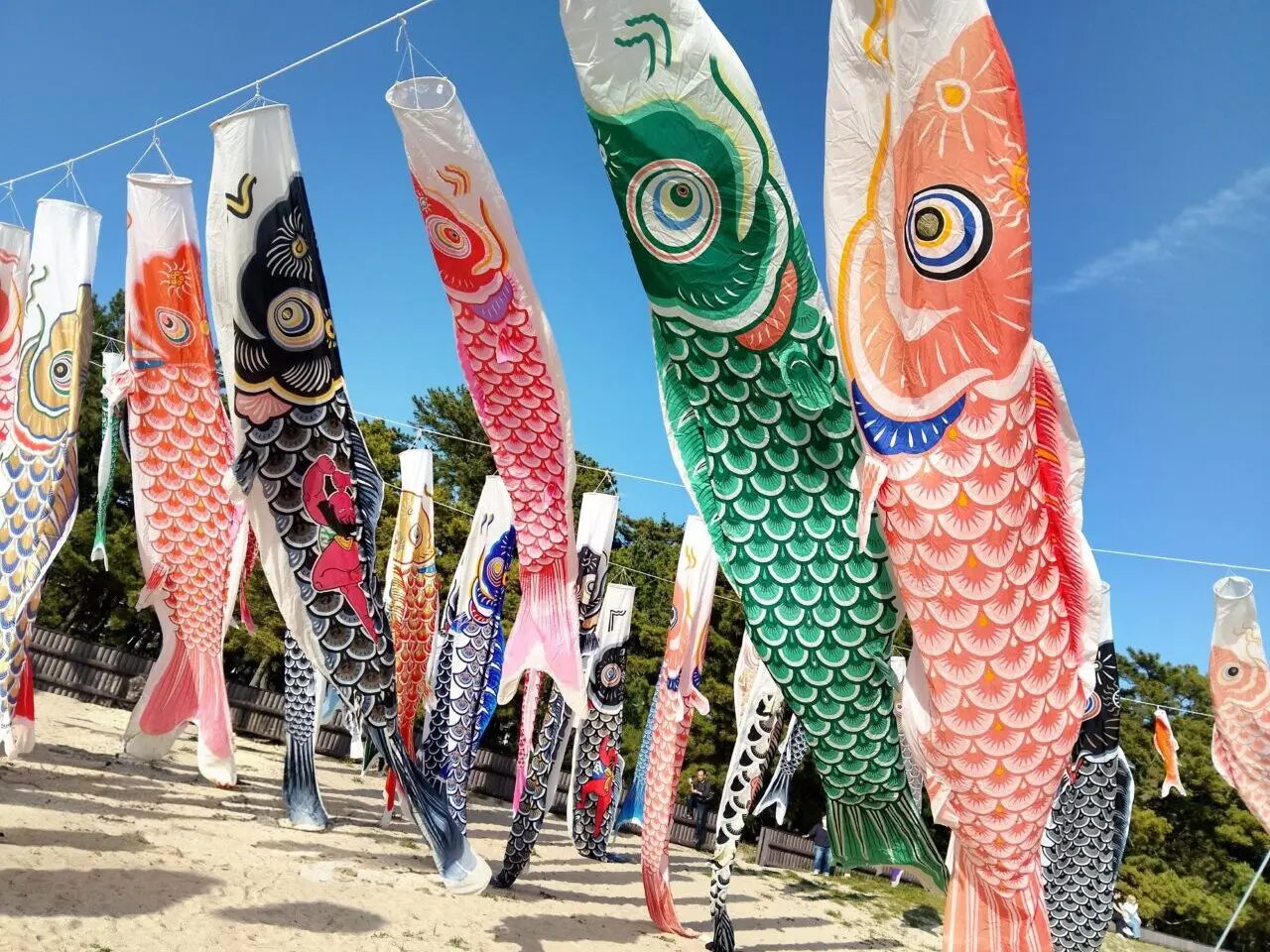 虹の鯉のぼりプロジェクト