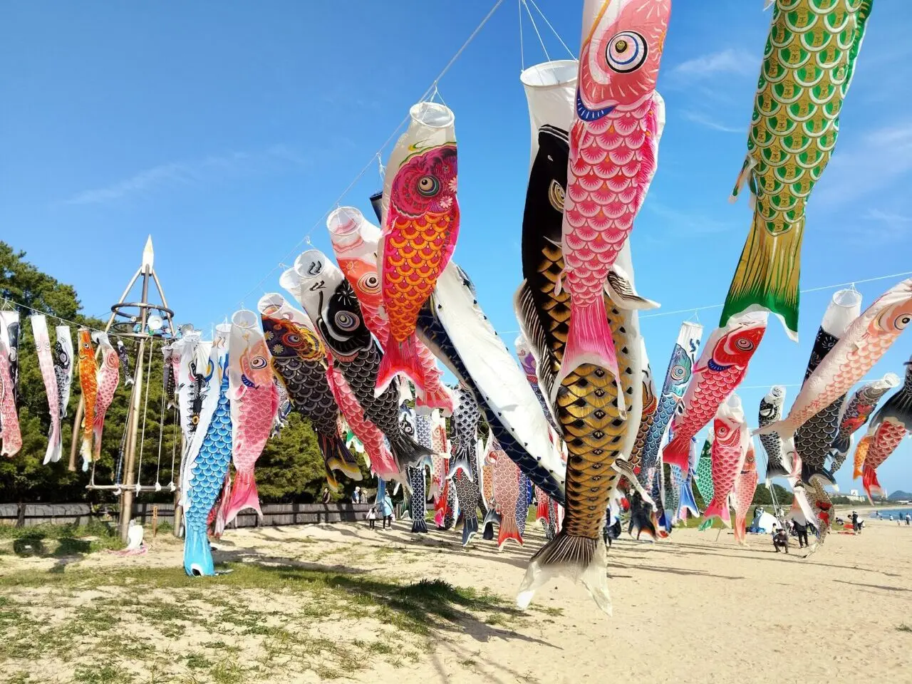 虹の鯉のぼりプロジェクト