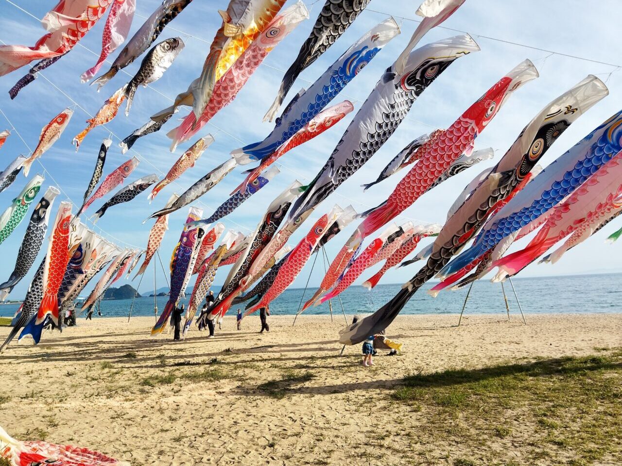 虹の鯉のぼりプロジェクト