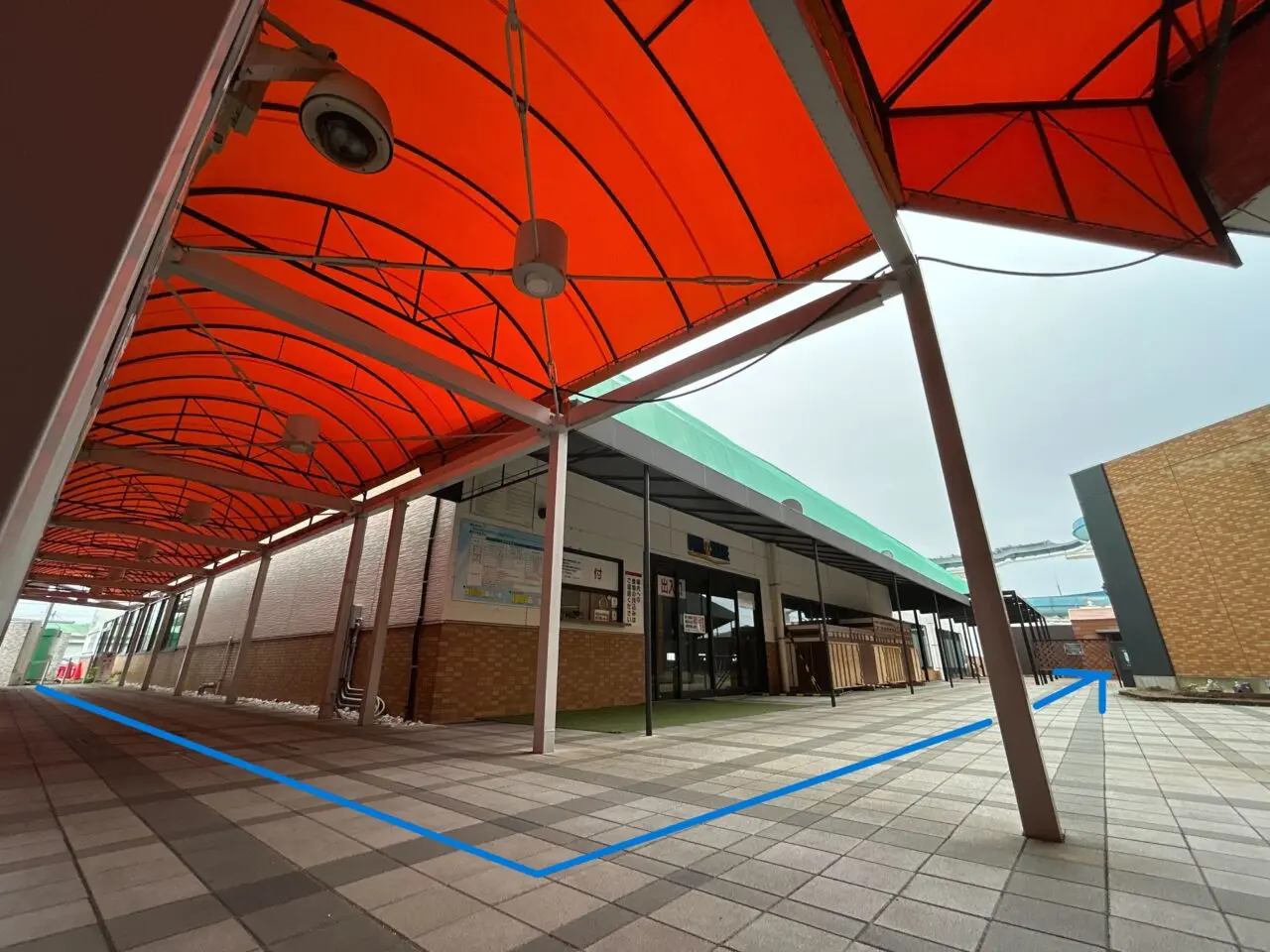 aotsubaki