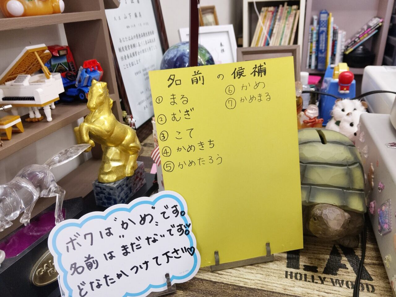 リユースピット