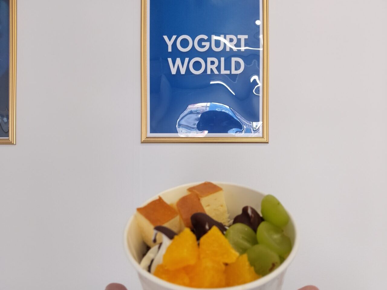 ヨーグルトワールド
