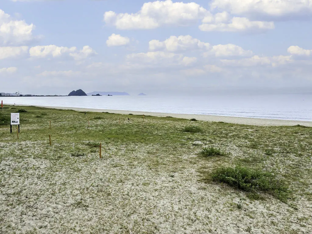 虹ケ浜